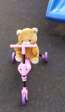 Bert the teddy bear